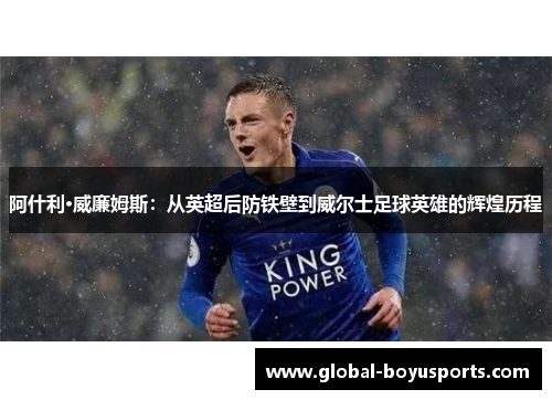 阿什利·威廉姆斯：从英超后防铁壁到威尔士足球英雄的辉煌历程