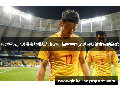 应对金元足球带来的挑战与机遇，探索中国足球可持续发展的道路