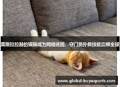 莫斯拉拉赫的猫猫成为网络迷因，守门员扑救技能震撼全球